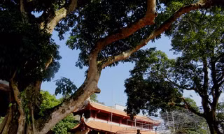 Chùa Thanh Mai ở xã Hoàng Hoa Thám, thị xã Chí Linh, tỉnh Hải Dương. Ảnh: Giang Chinh