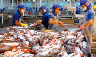 Thượng viện Mỹ hủy bỏ chương trình giám sát cá da trơn