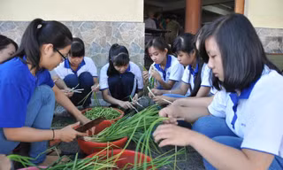 Sinh viên nhặt rau.