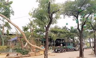 Nhà hàng, quán cà phê bủa vây Khu Liên hợp thể thao quốc gia Mỹ Đình