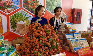 Hàng nghìn thương nhân đổ bộ về Bắc Giang thu mua vải thiều