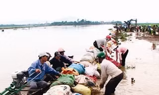 Ngập lụt và lũ quét do mưa lớn