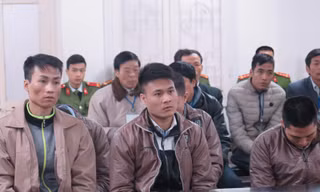 Các bị cáo trong băng nhóm chuyên trộm gỗ sưa.