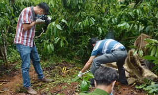 Sợi tóc trên chiếc lá hé lộ 3 bà cháu ở Lâm Đồng bị sát hại