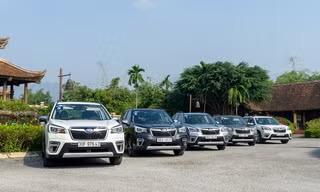 Subaru chốt cách xử lý cho Forester bị nổi 'cá vàng'