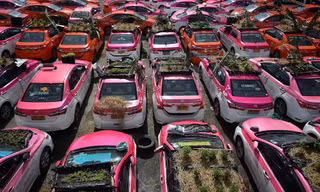 Ế khách mùa dịch, hãng taxi Thái Lan trồng rau trên ô tô