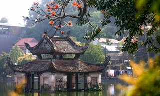 Rực đỏ hoa gạo trước sân chùa Thầy