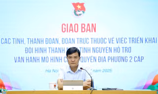 Tăng lực lượng tình nguyện hướng dẫn, hỗ trợ dịch vụ công trực tuyến tại nhà cho người dân
