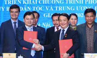 Hơn 50% thanh niên vùng dân tộc thiểu số và miền núi có việc làm ổn định
