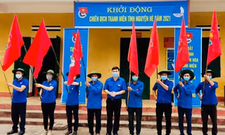 Sẽ trồng 50 nghìn cây xanh trong chiến dịch tình nguyện Hè 2021