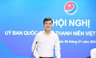 Triển khai bộ tiêu chí vì sự phát triển thanh niên Việt Nam cấp tỉnh