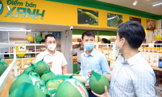 Gạo ST25, vải thiều Bắc Giang lên kệ 'Điểm bán xanh' ở Hà Nội 