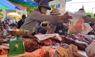 Ngất ngưởng giá thịt trâu chọi Đồ Sơn