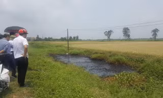 Xác định nghi phạm đổ chất thải độc hại ra mương nước khiến cây cỏ chết cháy