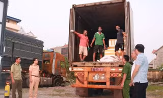 Dùng container chở 6 tấn lòng lợn nhiễm dịch tả đi tiêu thụ