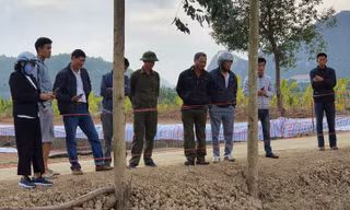 Đổ xô đi xem bãi cọc nghìn năm tuổi liên quan trận Bạch Đằng ở Hải Phòng