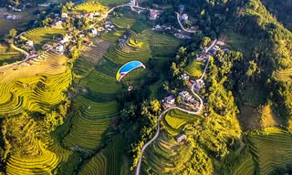 Bay trên mùa vàng Bình Liêu
