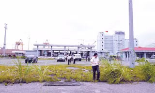 Cỏ mọc um tùm trên nền bê tông của ga Cái Lân. Ảnh: Sỹ Lực.