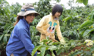 Nhược Nam giúp mẹ làm rẫy.
