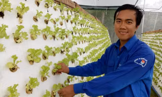 Anh Dương Minh Trung bên vườn rau khí canh công nghệ cao của mình. Ảnh: Hòa Hội.
