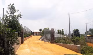 Trang trại của ông Nguyễn Đức.