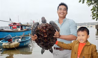 Cha con anh Nguyễn Văn Đoàn giao lại con rùa quý hiếm cho cơ quan chức năng để thả về lại biển.