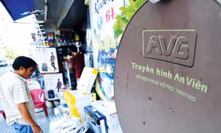 Kết luận thanh tra của Thanh tra Chính phủ việc tăng vốn của AVG cũng có nhiều đột biến​. Ảnh: PV.