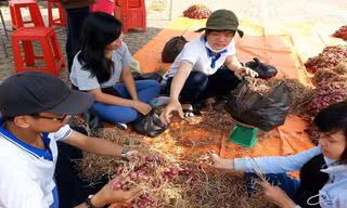 Thanh niên giúp bà con Khmer bán hành tím.