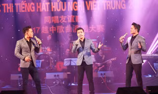Thăng Long là nhóm nhạc duy nhất tham gia và lọt vào vòng chung kết.