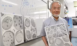 GS Yoshinori Ohsumi - chủ nhân giải Nobel Y học 2016. Ảnh: AP.