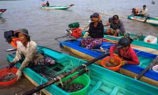 Người dân nghèo bám bãi bồi tìm kế sinh nhai.