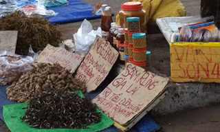 Cẩn trọng với thảo dược bán dạo