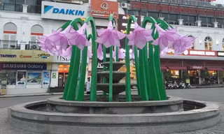 Hoa này, hoa gì?