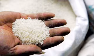 Xác minh gạo giả ở Việt Nam