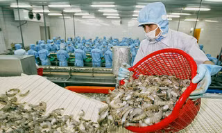 Ngành thủy sản của Việt Nam có nhiều cơ hội tăng mạnh kim ngạch xuất khẩu vào thị trường EAEU.