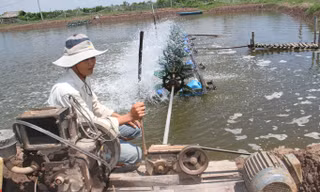 Báo động về tai nạn điện sinh hoạt: Nỗ lực ngăn chặn