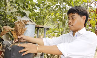 Nam sinh vượt ngàn cây số mong hàn gắn mối tình bằng Chiếc lá tình yêu