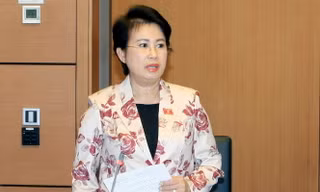 Bà Phan Thị Mỹ Thanh bị xử lý thế nào về mặt nhà nước?