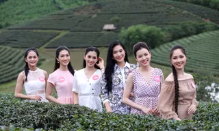 Vẻ tươi tắn của thí sinh Hoa hậu càng thêm nổi bật giữa khung cảnh đảo chè Thanh Chương. Ảnh: Mạnh Thắng.