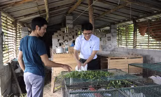 Phó Chủ tịch xã Quế Sơn (Sơn Động, Bắc Giang) Trần Sỹ Trung (bìa phải) hướng dẫn thanh niên nuôi thỏ. Nhiều hộ dân Quế Sơn thoát nghèo nhờ dự án nuôi thỏ do anh Trung đề xuất. Ảnh: Xuân Tùng.