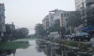 Đường như ao