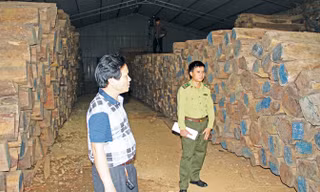 Hàng nghìn khối gỗ trắc, cẩm lai, hương được các doanh nghiệp ở Hương Khê nhập về hợp pháp muốn bán ra phải có thêm giấy phép Cites.
