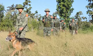 Tuần tra biên giới.