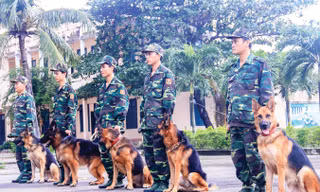 Các chiến sỹ BÐBP Ðà Nẵng bên cạnh những chú chó nghiệp vụ của mình. Ảnh: Nguyễn Thành.