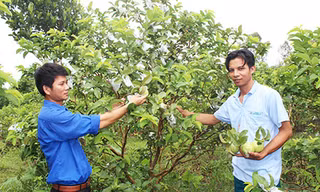 Tôn vinh nông dân trẻ xuất sắc 