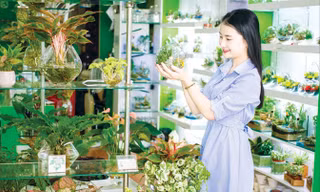 Giới trẻ thích thú với thú chơi mới.