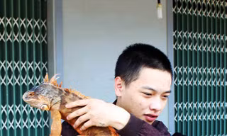 Nguyễn Ðăng Khoa bên con rồng Nam Mỹ khá thân thiện. Ảnh: K.A.