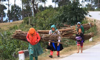 Tái nghèo tăng vì có nơi chính quyền quan liêu