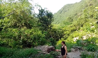 Đất trang trại Sóc Sơn giá bằng cốc trà đá