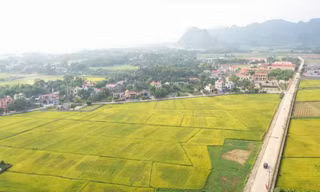 Đề xuất thu hồi loạt 'sổ đỏ' liên quan đến đất nông nghiệp sai quy định ở Ninh Bình